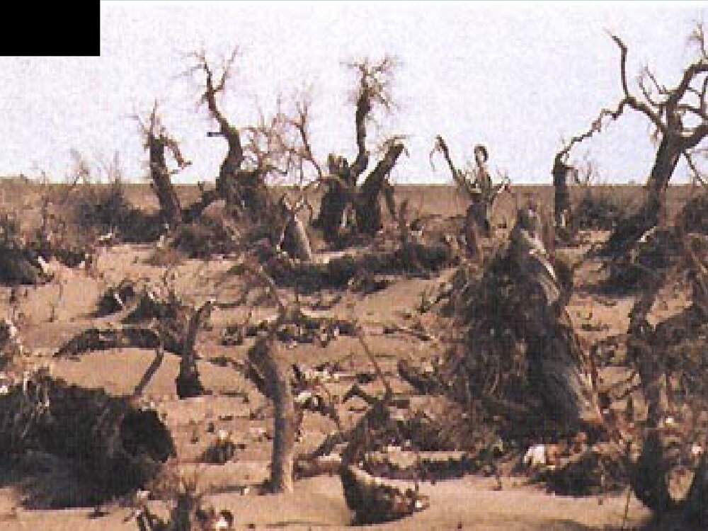 初中化学知识《课题1 爱护水资源》PPT课件下载7