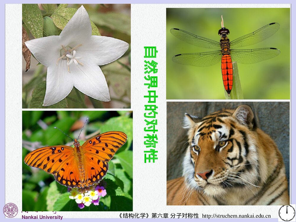 《结构化学》第六章分子对称性PPT课件下载(共106页)2