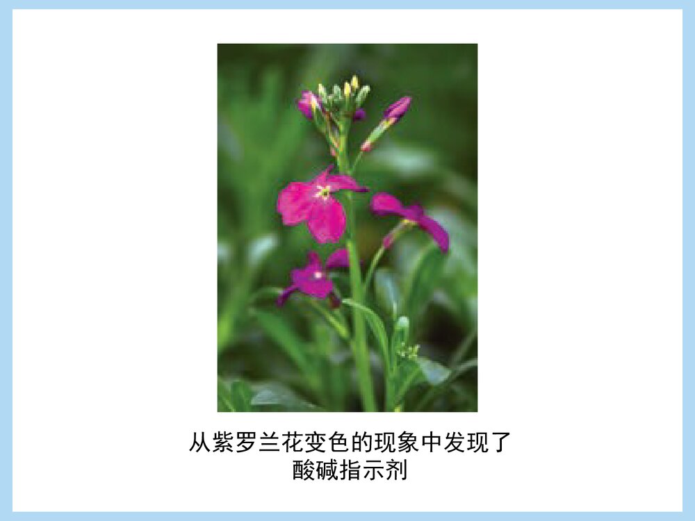 人教版九年级化学《课题1 常见的酸和碱》PPT课件下载9