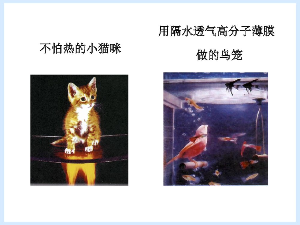 初中化学·使世界变得更加绚丽多彩PPT课件下载10