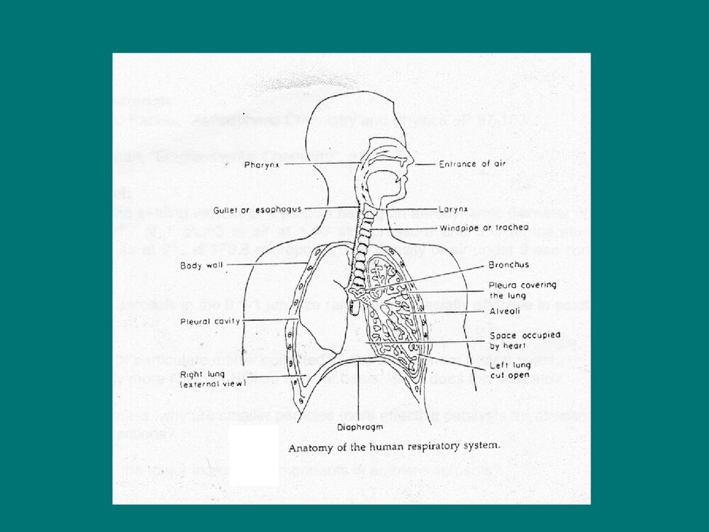 有关化学环境的英文版PPT课件下载3