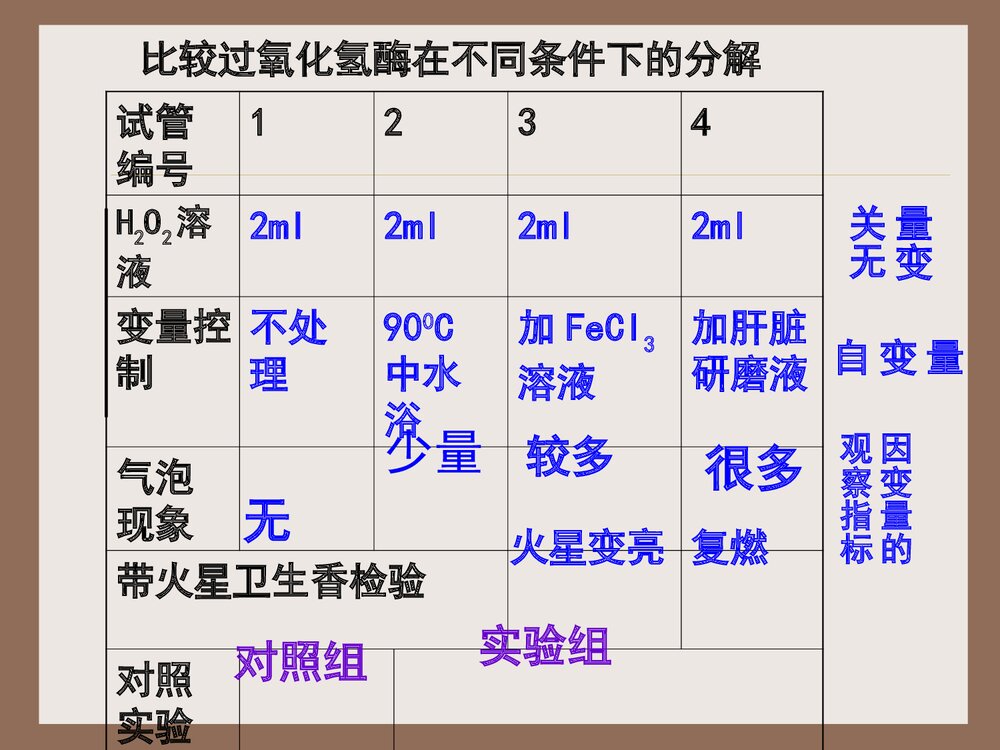 《降低化学反应活化能的酶》高中化学PPT课件4