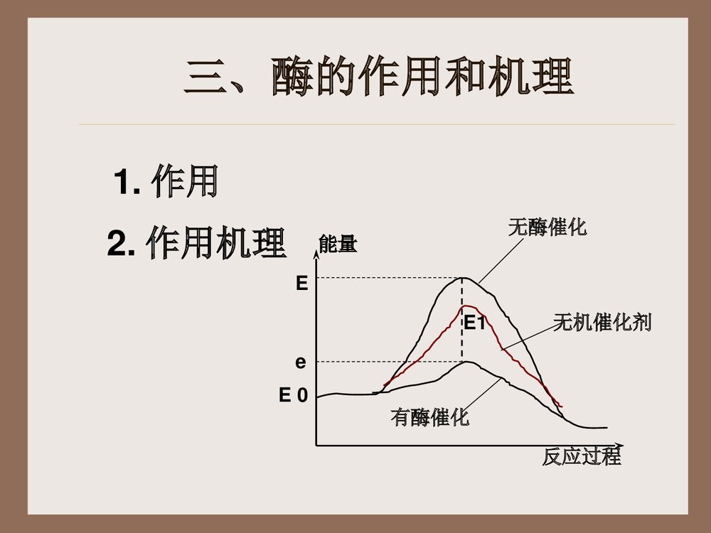 《降低化学反应活化能的酶》高中化学PPT课件6