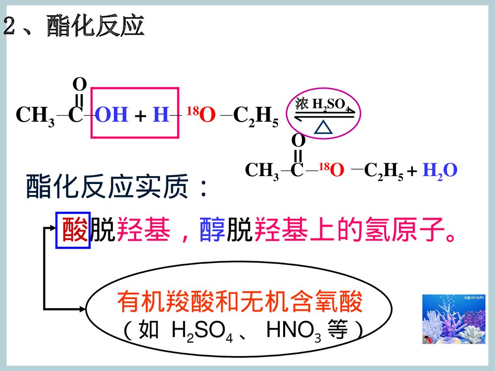 《第三节 羧酸酯》化学PPT课件下载8