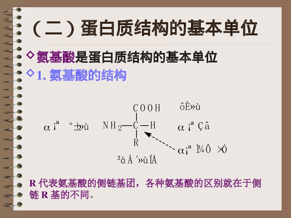 烹饪化学蛋白质的运用PPT课件下载5