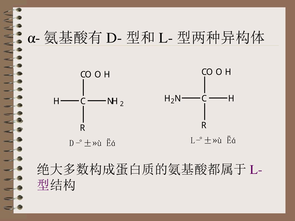 烹饪化学蛋白质的运用PPT课件下载6