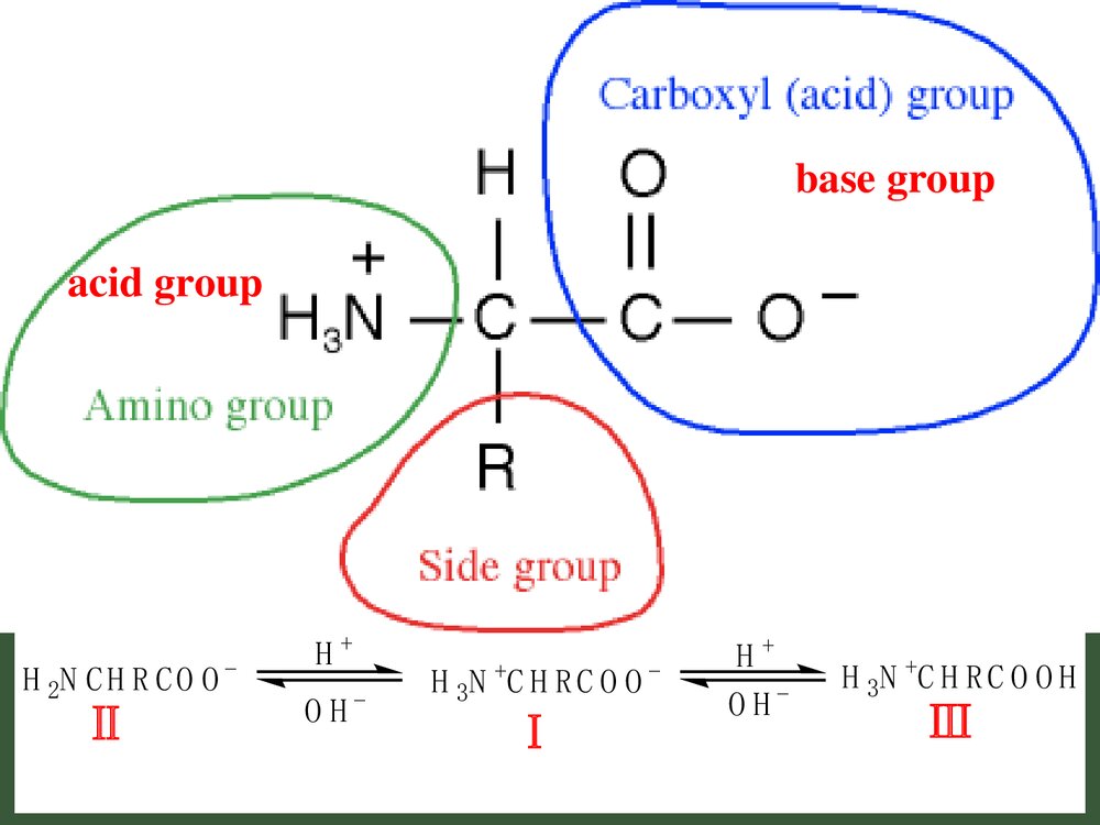 无机化学与饮食健康PPT课件下载6