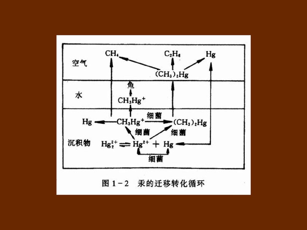 环境化学分析PPT课件下载4
