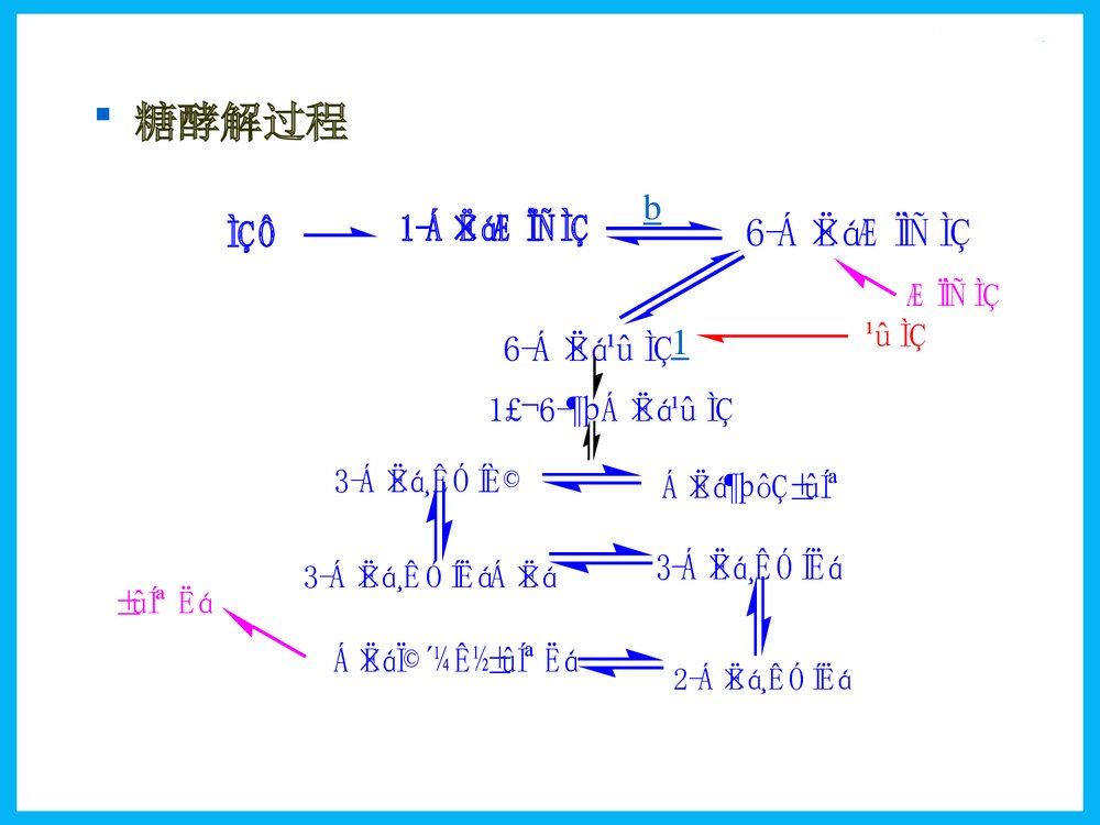 《第八章 糖酵解》物化学与生活PPT课件下载9
