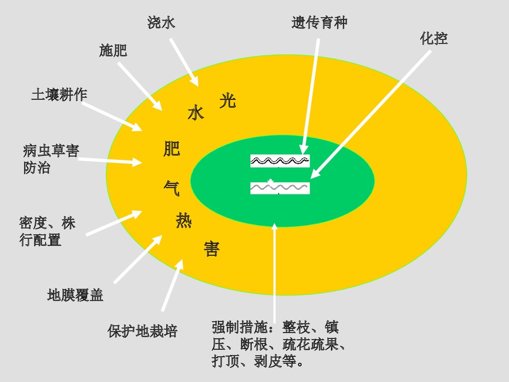作物化学调控技术在农业生产中的应用PPT课件下载5