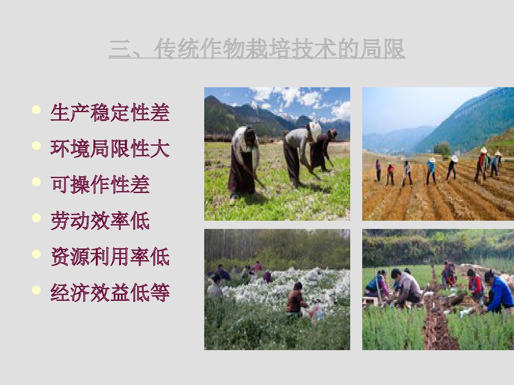 作物化学调控技术在农业生产中的应用PPT课件下载6