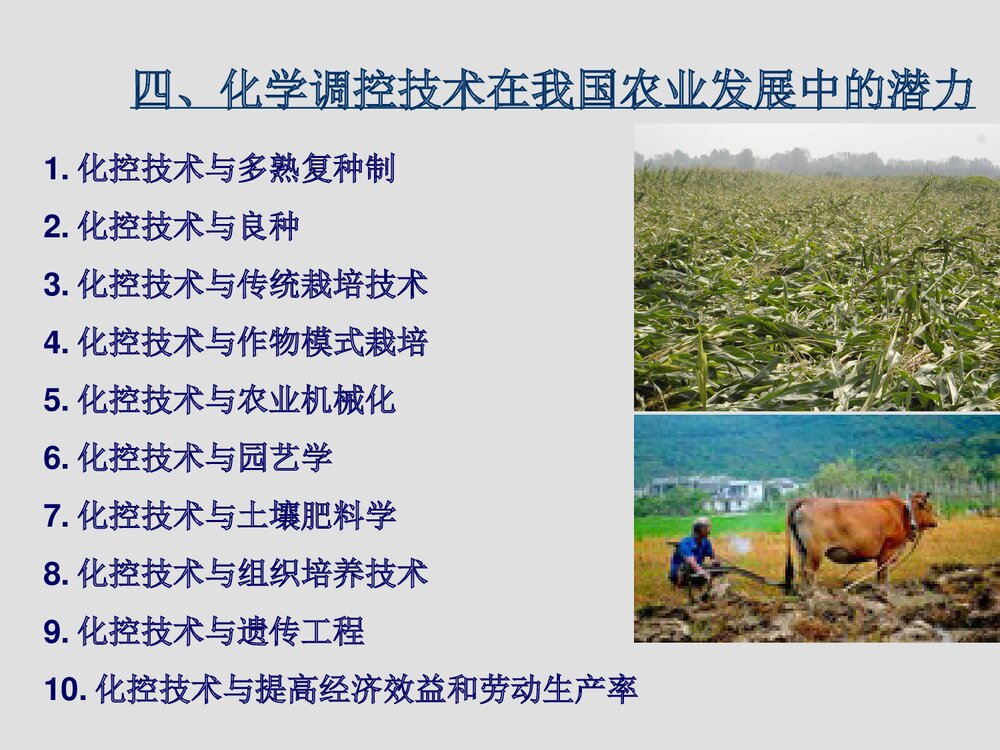 作物化学调控技术在农业生产中的应用PPT课件下载8