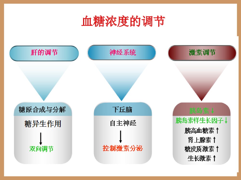 糖代谢紊乱的生物化学检验PPT课件下载8
