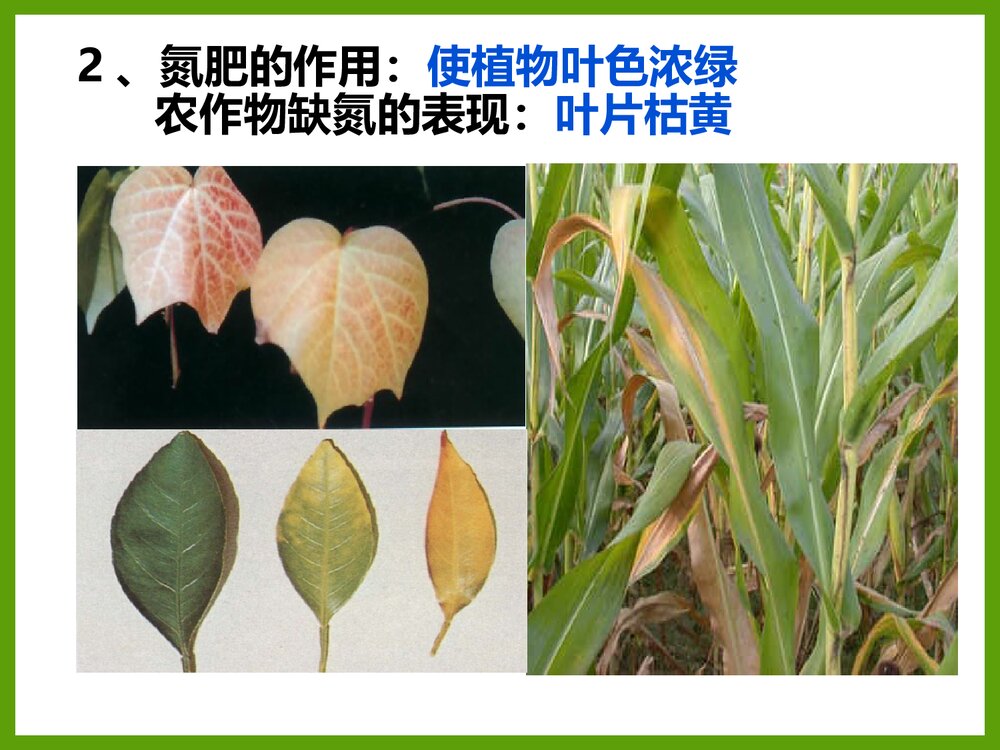 九年级化学《课题2 化学肥料》优秀PPT课件下载8