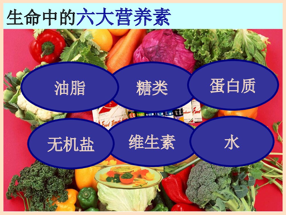 《油脂》有机化学PPT课件下载2