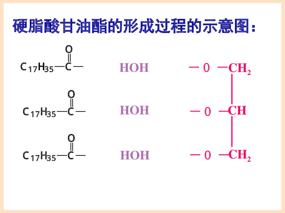 《油脂》有机化学PPT课件下载10