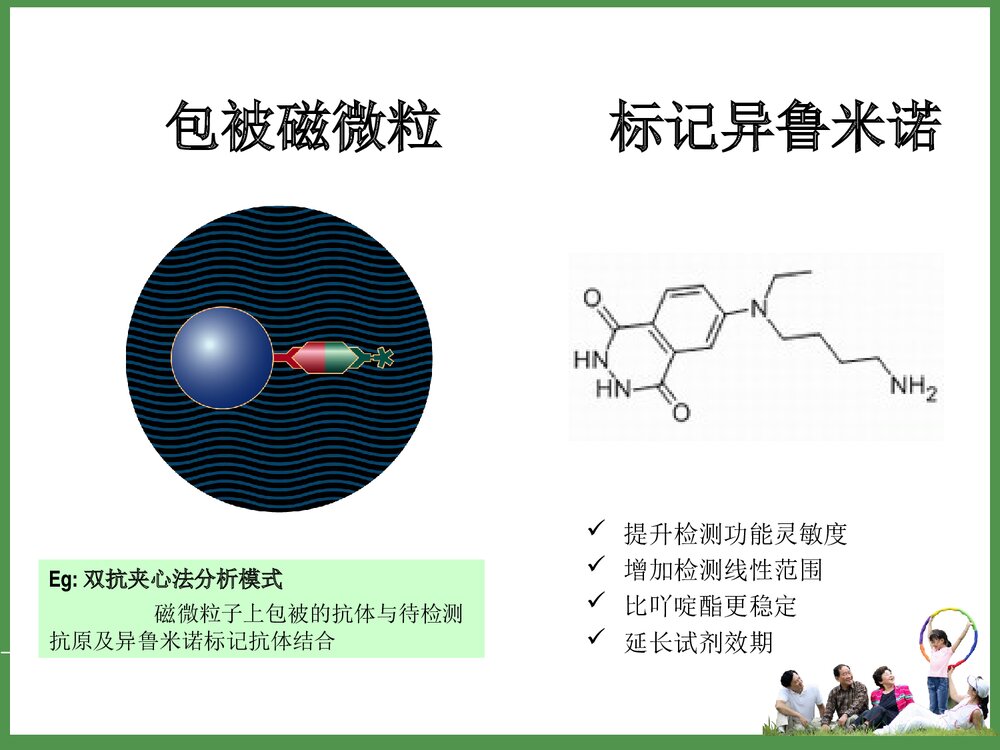 化学发光法检测传染病PPT课件下载5