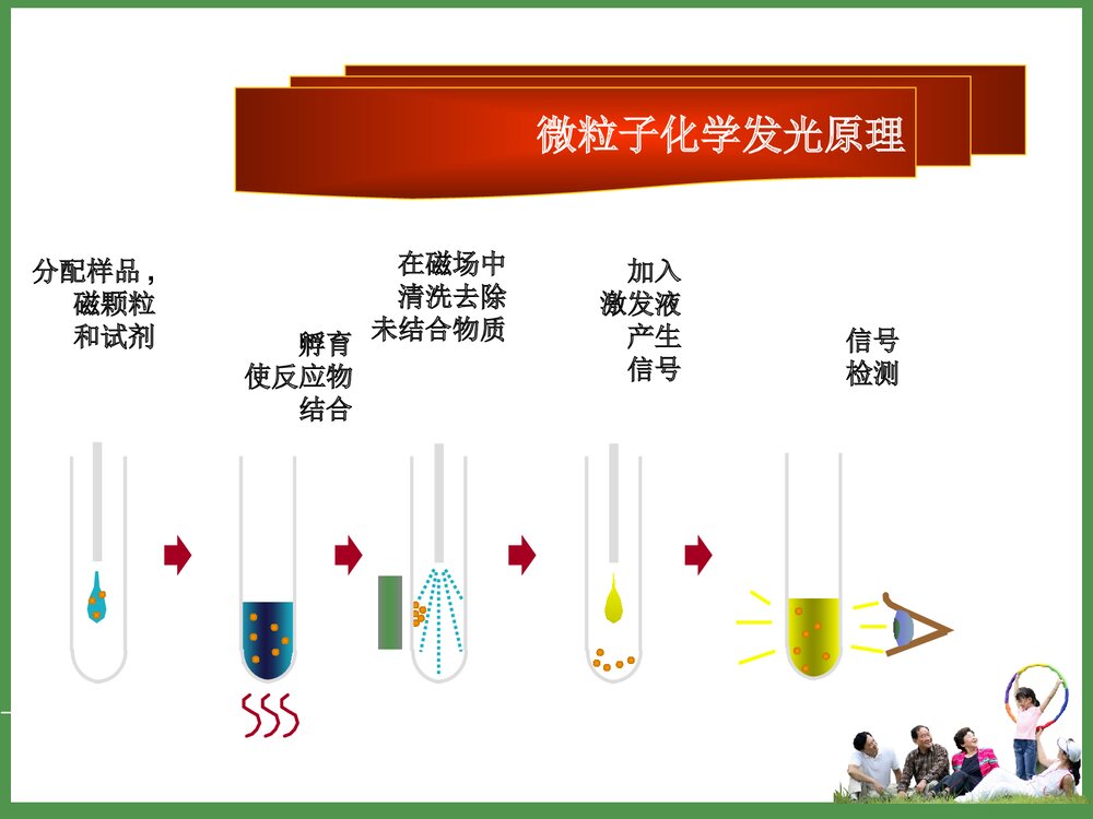 化学发光法检测传染病PPT课件下载9