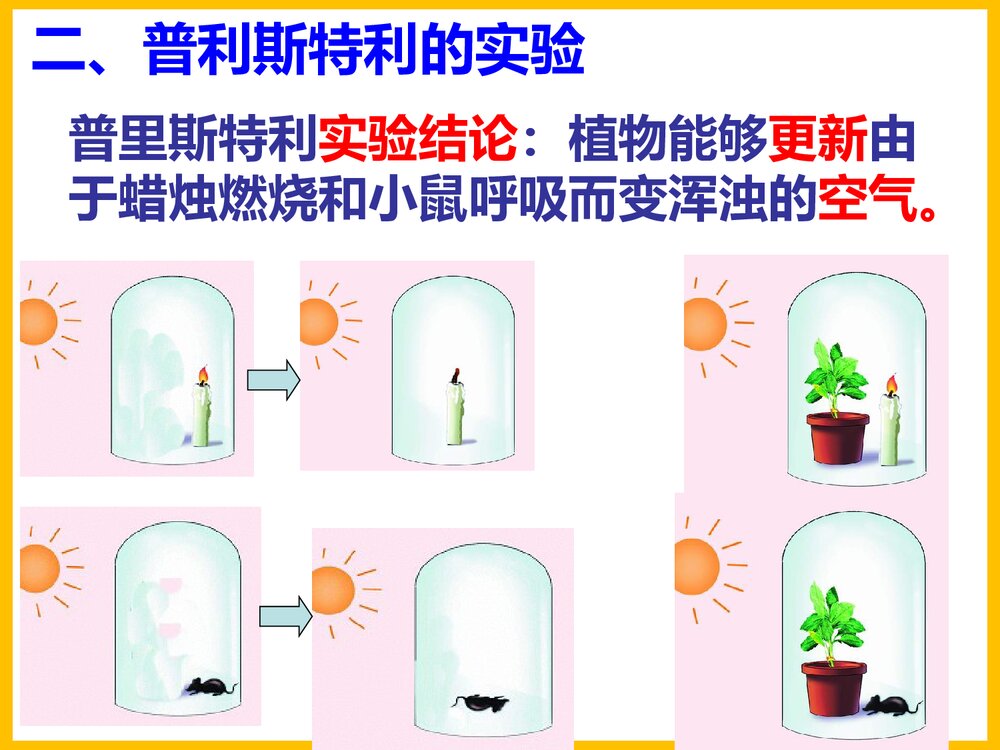 初一化学上册《光合作用吸收二氧化碳释放氧气》PPT课件下载5