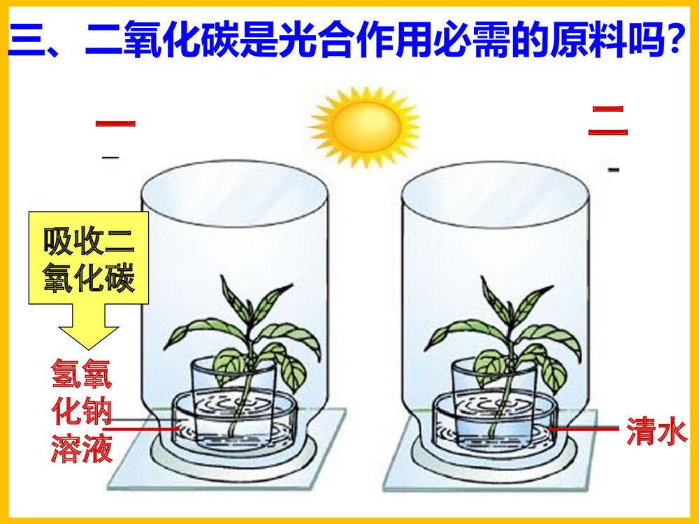 初一化学上册《光合作用吸收二氧化碳释放氧气》PPT课件下载7