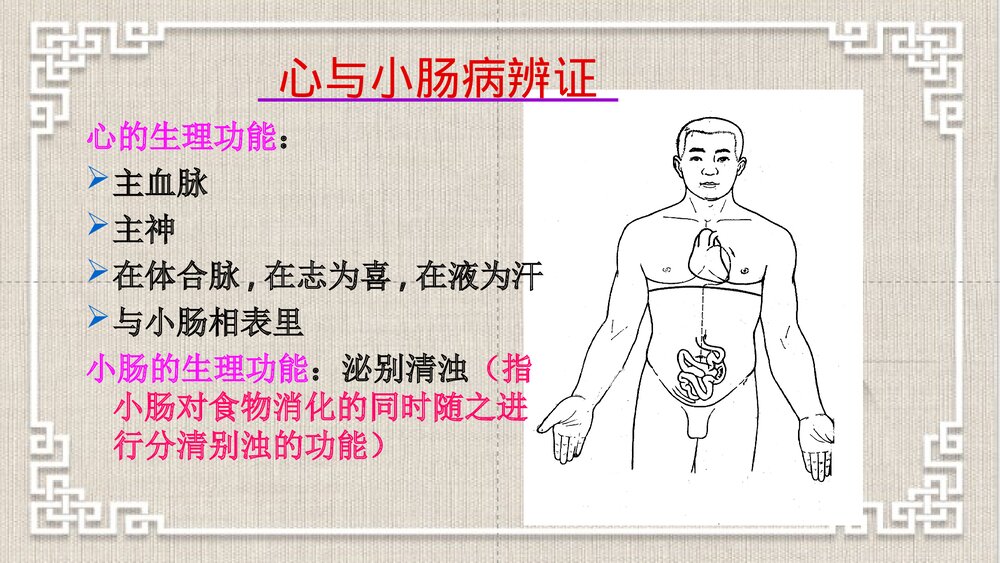 中医脏腑辨证PPT课件下载4