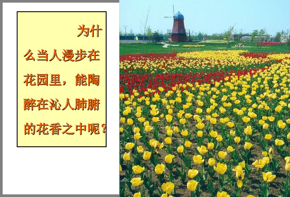 《分子和原子》化学课件PPT下载4