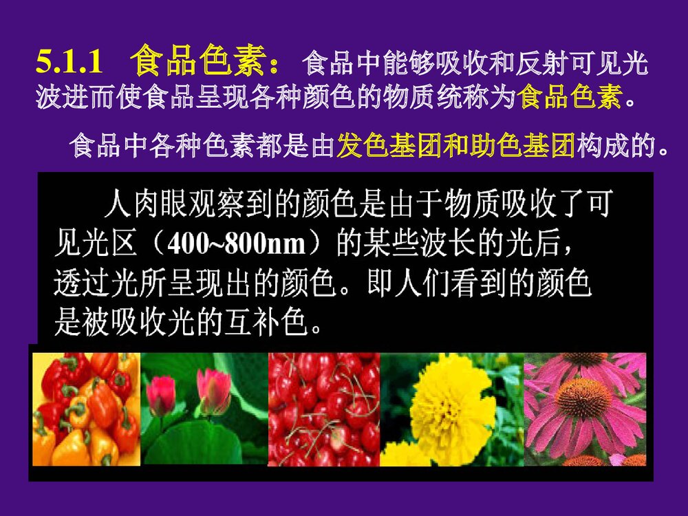 食品化学《第五章 色素和着色剂》PPT课件3