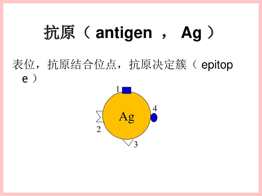 免疫组织化学PPT课件下载10