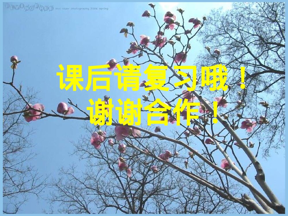 高中化学《原电池》优秀PPT课件下载8