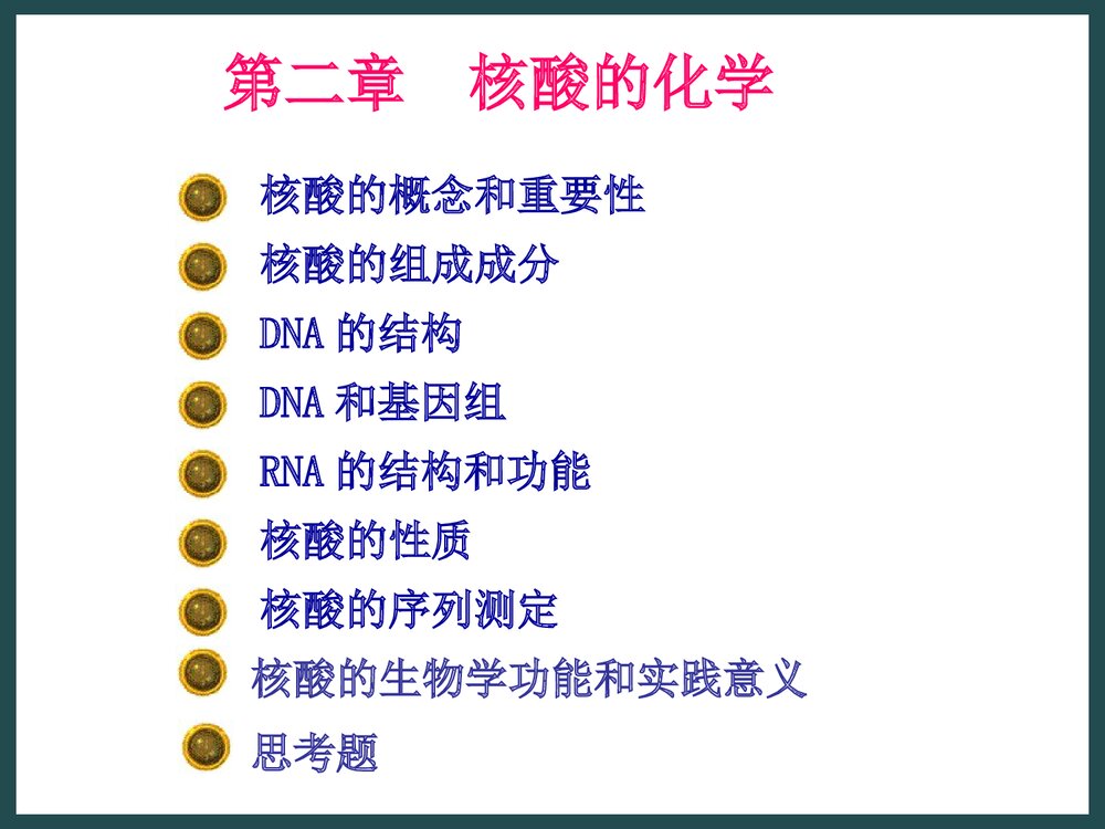生物化学《第二章核酸的化学》PPT课件下载2