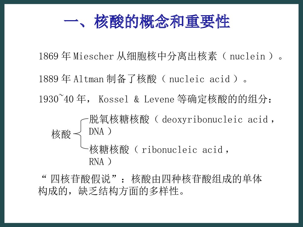 生物化学《第二章核酸的化学》PPT课件下载3