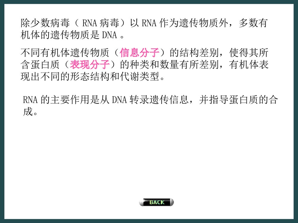 生物化学《第二章核酸的化学》PPT课件下载5
