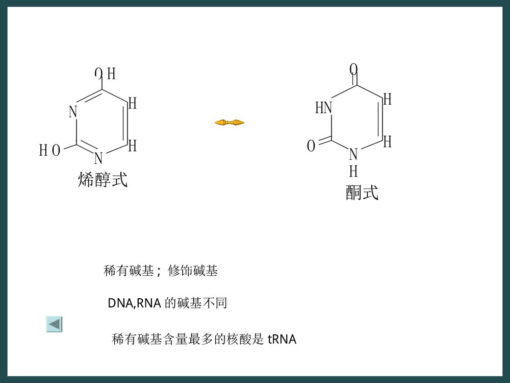 生物化学《第二章核酸的化学》PPT课件下载10