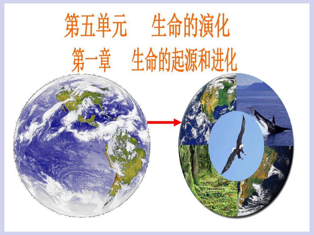 第五单元 生命的演化 第一章 生命的起源和进化PPT课件下载1