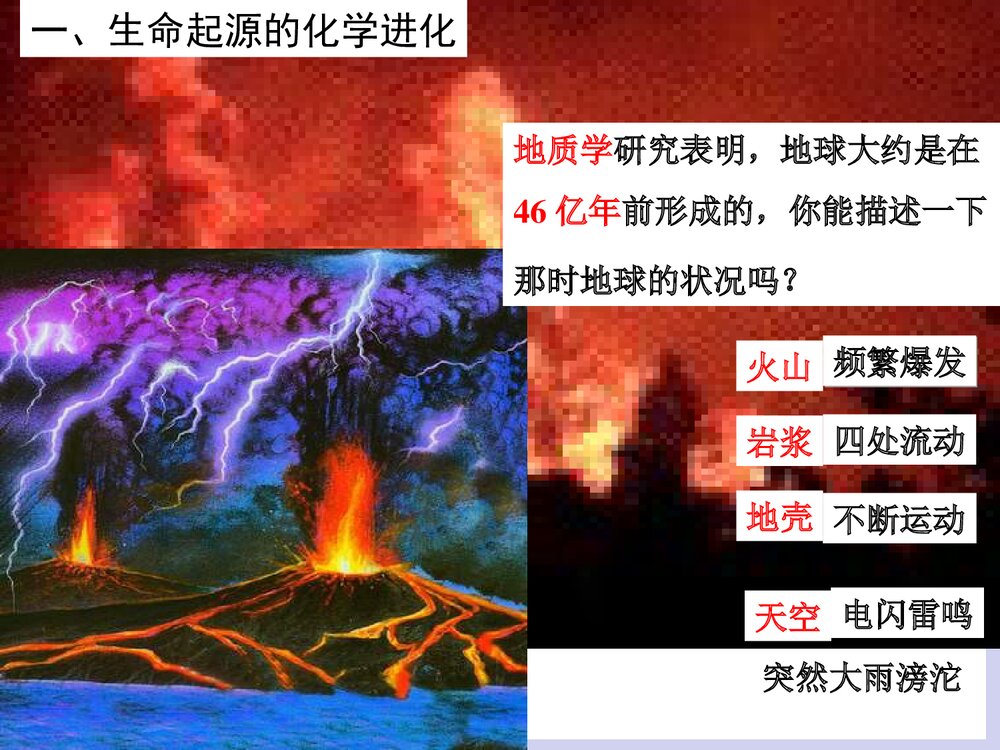 第五单元 生命的演化 第一章 生命的起源和进化PPT课件下载4