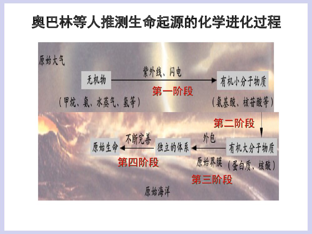 第五单元 生命的演化 第一章 生命的起源和进化PPT课件下载6