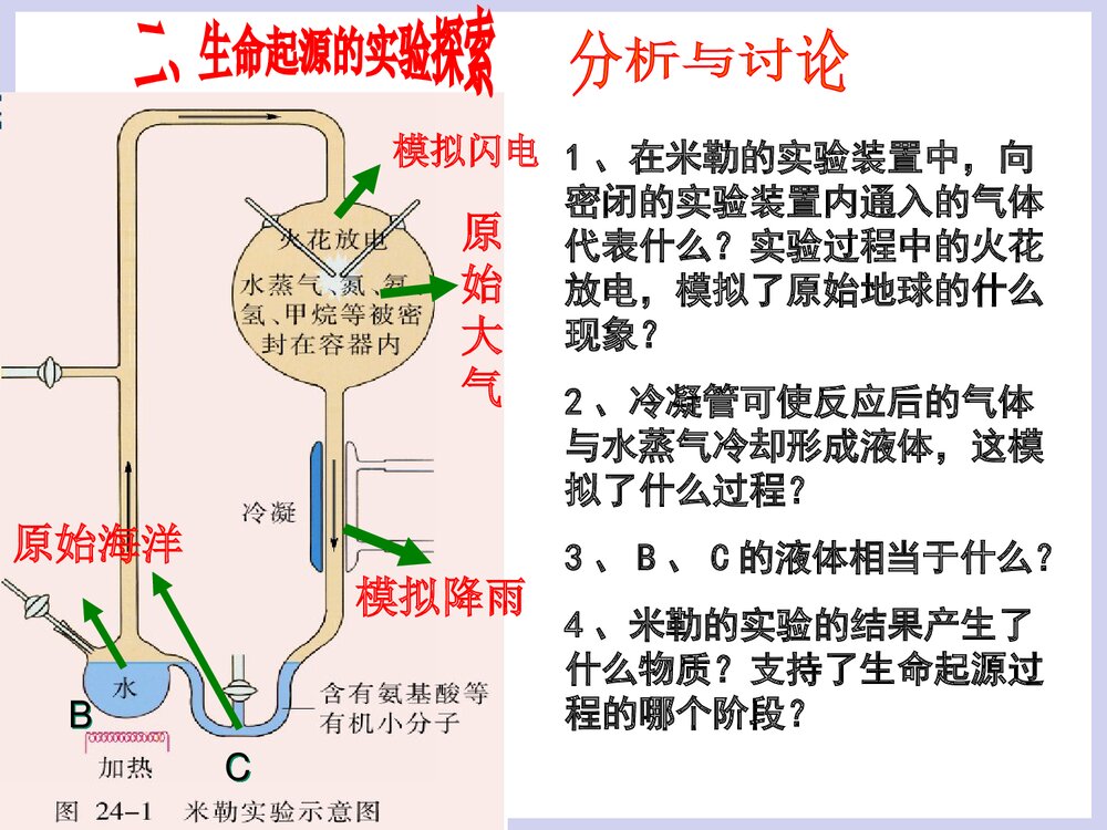 第五单元 生命的演化 第一章 生命的起源和进化PPT课件下载9