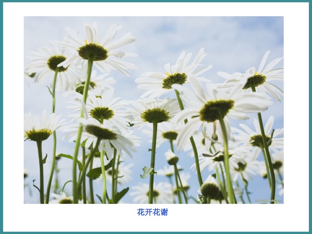 化学选修化学反应的方向PPT课件(第一课时)2