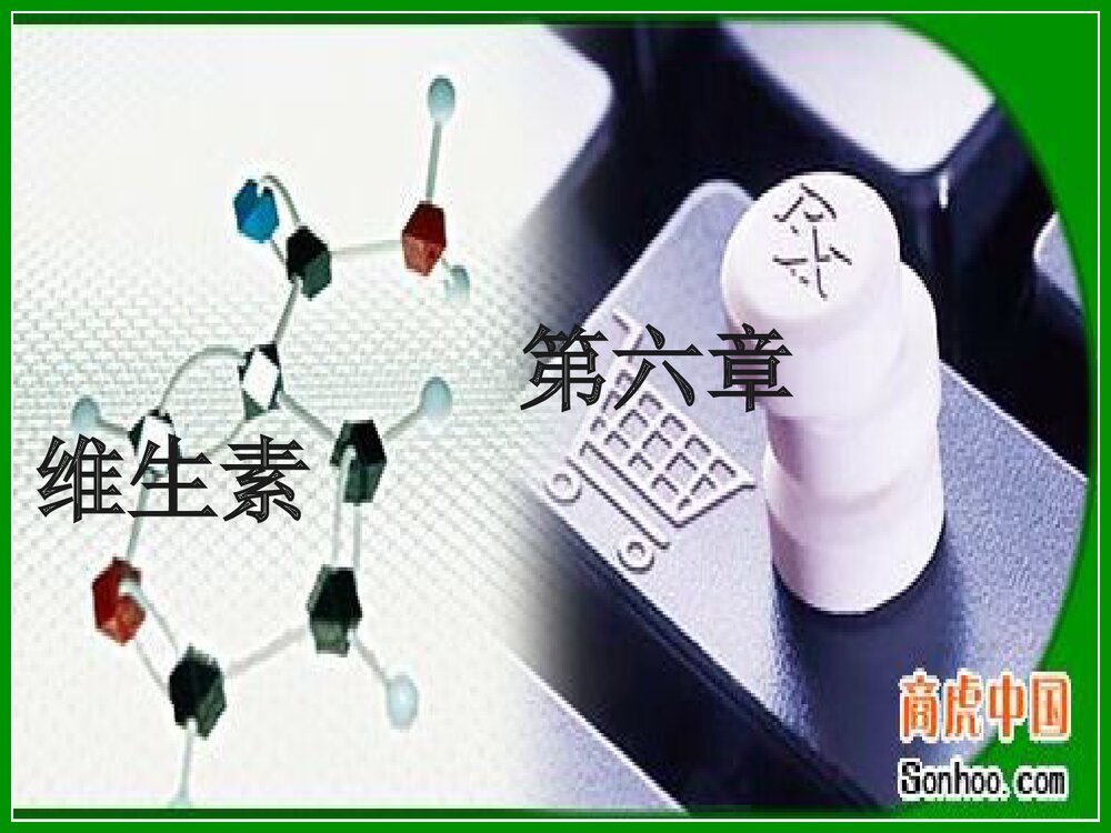 食品化学《第六章 维生素》PPT课件2