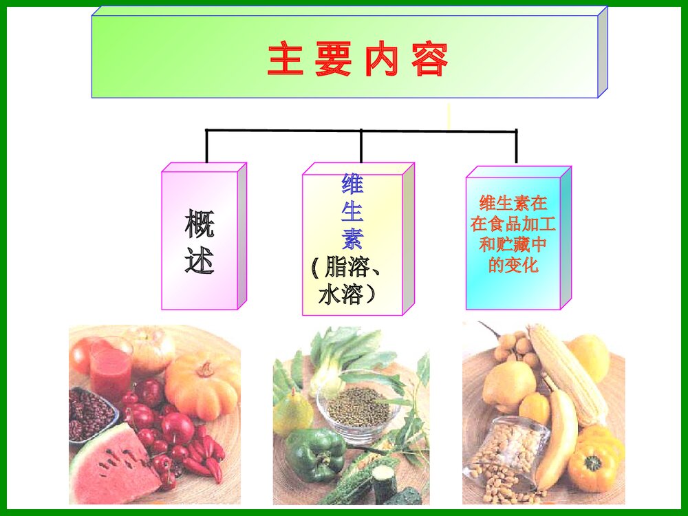 食品化学《第六章 维生素》PPT课件4