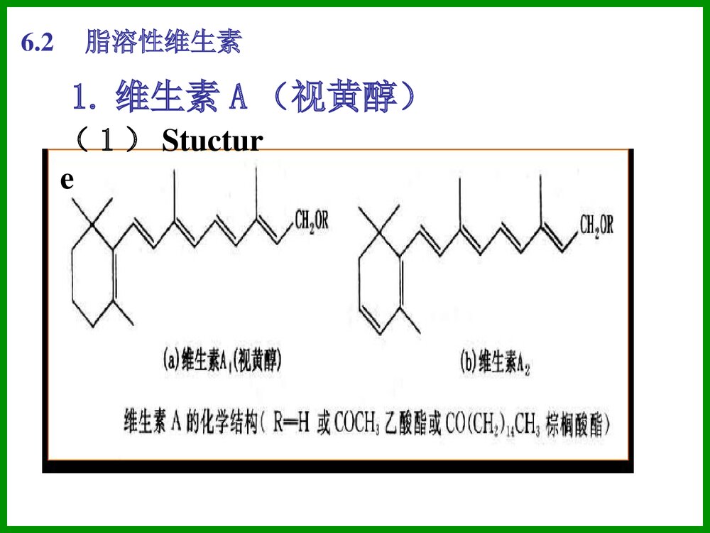 食品化学《第六章 维生素》PPT课件8