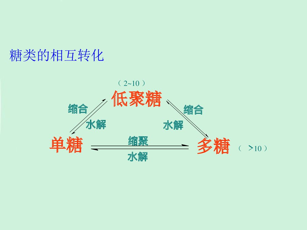 高中有机化学第二节糖类PPT课件下载5