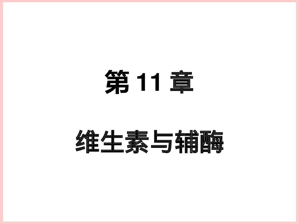 生物化学维生素与辅酶PPT课件1
