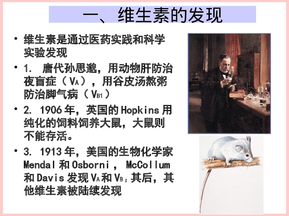 生物化学维生素与辅酶PPT课件3