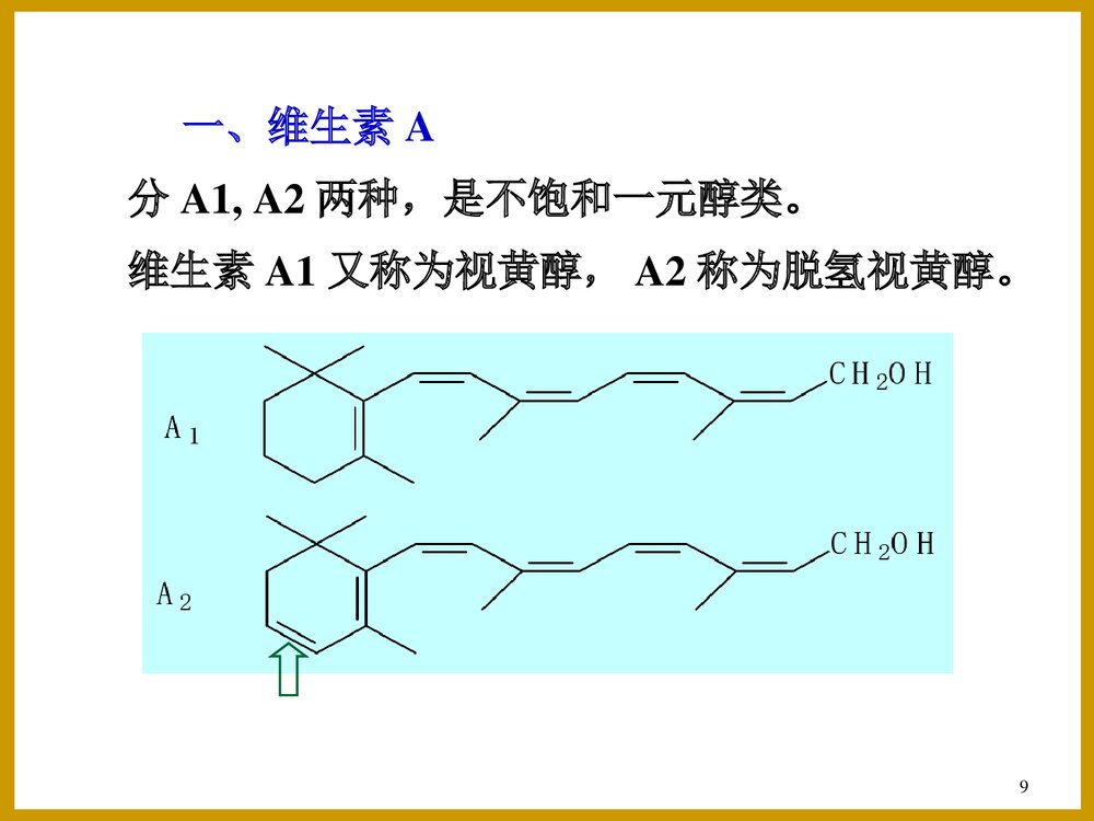 维生素化学PPT课件下载9