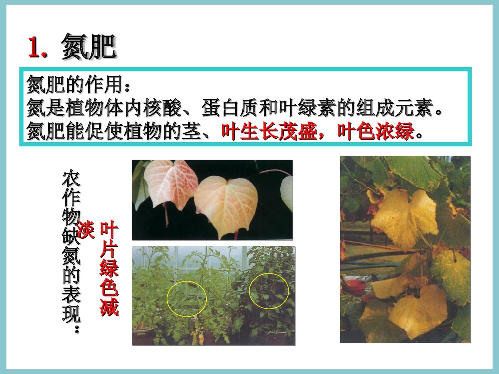 初中化学《课题2 化学肥料》PPT课件4