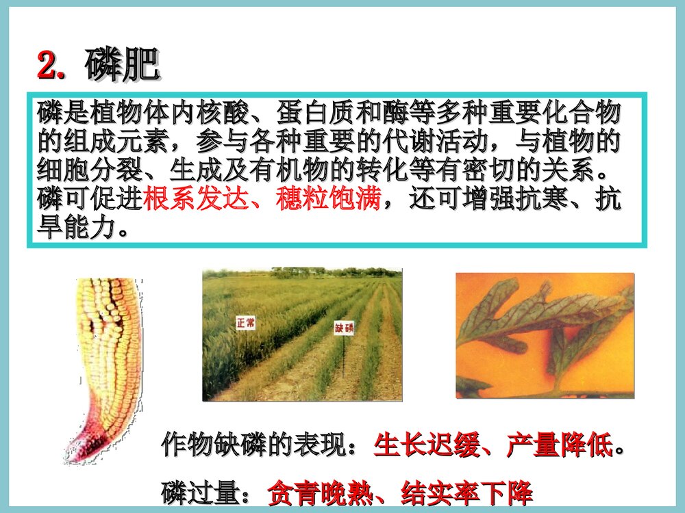 初中化学《课题2 化学肥料》PPT课件7