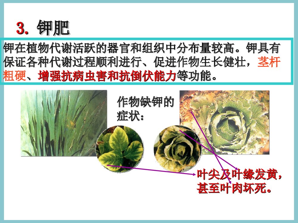 初中化学《课题2 化学肥料》PPT课件9