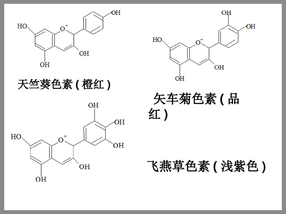 第九章颜色化学理论的应用PPT课件4