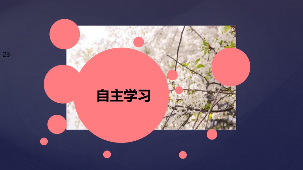 《研究物质性质的方法和程序》认识化学科学PPT课件第1课时3